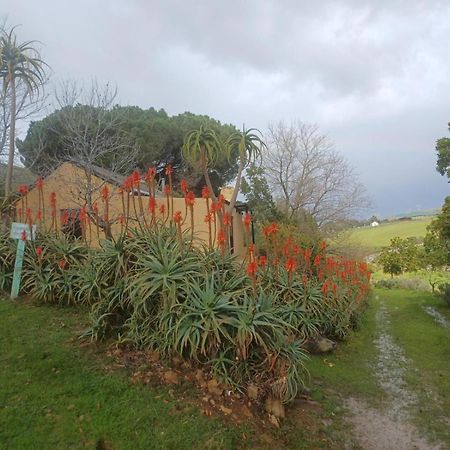 Swaynekloof Farm Villa บอทริเวียร์ ภายนอก รูปภาพ