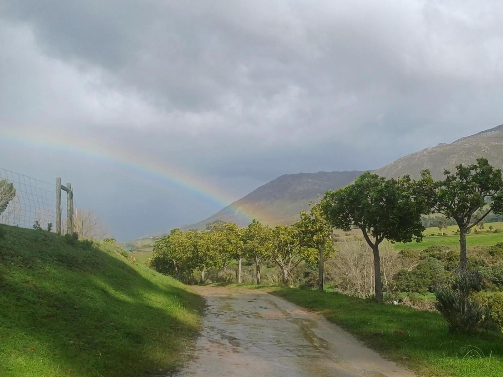 Swaynekloof Farm Villa บอทริเวียร์ ภายนอก รูปภาพ
